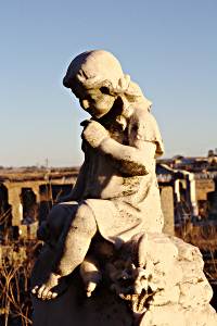 One of the more elaborate headstones in the old Volksrust Cemetery